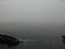 ./images/koeye/fitz-hugh/20151001/fitz-hugh20151001_080002.jpg