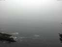 ./images/koeye/fitz-hugh/20151001/fitz-hugh20151001_120003.jpg