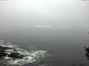 ./images/koeye/fitz-hugh/20151001/fitz-hugh20151001_121503.jpg