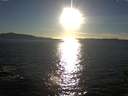 ./images/koeye/fitz-hugh/20151003/fitz-hugh20151003_180001.jpg