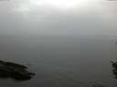 ./images/koeye/fitz-hugh/20151007/fitz-hugh20151007_160003.jpg