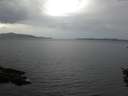 ./images/koeye/fitz-hugh/20151008/fitz-hugh20151008_080003.jpg