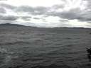 ./images/koeye/fitz-hugh/20151009/fitz-hugh20151009_122402.jpg