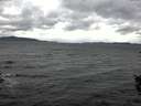 ./images/koeye/fitz-hugh/20151009/fitz-hugh20151009_122702.jpg