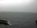 ./images/koeye/fitz-hugh/20151009/fitz-hugh20151009_160003.jpg