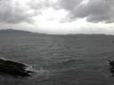 ./images/koeye/fitz-hugh/20151010/fitz-hugh20151010_080003.jpg