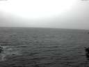 ./images/koeye/fitz-hugh/20151010/fitz-hugh20151010_140002.jpg