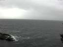 ./images/koeye/fitz-hugh/20151010/fitz-hugh20151010_160003.jpg