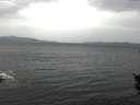 ./images/koeye/fitz-hugh/20151011/fitz-hugh20151011_120003.jpg