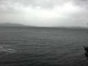 ./images/koeye/fitz-hugh/20151011/fitz-hugh20151011_122402.jpg