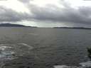 ./images/koeye/fitz-hugh/20151012/fitz-hugh20151012_122703.jpg
