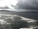 ./images/koeye/fitz-hugh/20151012/fitz-hugh20151012_140003.jpg