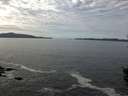 ./images/koeye/fitz-hugh/20151014/fitz-hugh20151014_122703.jpg