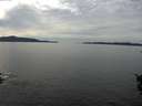 ./images/koeye/fitz-hugh/20151015/fitz-hugh20151015_140002.jpg