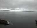 ./images/koeye/fitz-hugh/20151017/fitz-hugh20151017_080002.jpg