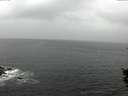 ./images/koeye/fitz-hugh/20151017/fitz-hugh20151017_140002.jpg