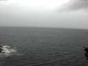 ./images/koeye/fitz-hugh/20151018/fitz-hugh20151018_160002.jpg