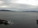 ./images/koeye/fitz-hugh/20151020/fitz-hugh20151020_100003.jpg