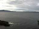 ./images/koeye/fitz-hugh/20151020/fitz-hugh20151020_122401.jpg