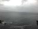 ./images/koeye/fitz-hugh/20151022/fitz-hugh20151022_080003.jpg