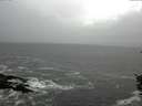 ./images/koeye/fitz-hugh/20151022/fitz-hugh20151022_121803.jpg