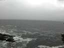 ./images/koeye/fitz-hugh/20151022/fitz-hugh20151022_122402.jpg