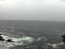 ./images/koeye/fitz-hugh/20151022/fitz-hugh20151022_122702.jpg