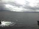 ./images/koeye/fitz-hugh/20151023/fitz-hugh20151023_080003.jpg
