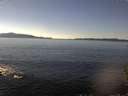 ./images/koeye/fitz-hugh/20151026/fitz-hugh20151026_140002.jpg