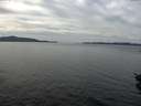./images/koeye/fitz-hugh/20151027/fitz-hugh20151027_121502.jpg