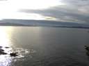 ./images/koeye/fitz-hugh/20151027/fitz-hugh20151027_160002.jpg
