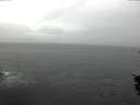 ./images/koeye/fitz-hugh/20151028/fitz-hugh20151028_160003.jpg