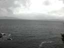 ./images/koeye/fitz-hugh/20151029/fitz-hugh20151029_122101.jpg