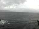 ./images/koeye/fitz-hugh/20151029/fitz-hugh20151029_122403.jpg