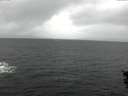 ./images/koeye/fitz-hugh/20151029/fitz-hugh20151029_140003.jpg