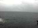./images/koeye/fitz-hugh/20151029/fitz-hugh20151029_160002.jpg