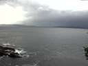 ./images/koeye/fitz-hugh/20151031/fitz-hugh20151031_121502.jpg