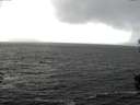 ./images/koeye/fitz-hugh/20151031/fitz-hugh20151031_140002.jpg