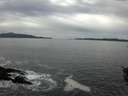 ./images/koeye/fitz-hugh/20151101/fitz-hugh20151101_120001.jpg
