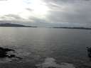 ./images/koeye/fitz-hugh/20151101/fitz-hugh20151101_122401.jpg