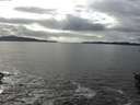 ./images/koeye/fitz-hugh/20151101/fitz-hugh20151101_140002.jpg