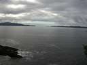 ./images/koeye/fitz-hugh/20151102/fitz-hugh20151102_121502.jpg