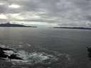 ./images/koeye/fitz-hugh/20151102/fitz-hugh20151102_122103.jpg