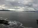./images/koeye/fitz-hugh/20151102/fitz-hugh20151102_122703.jpg