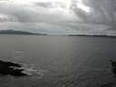 ./images/koeye/fitz-hugh/20151104/fitz-hugh20151104_160003.jpg