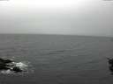 ./images/koeye/fitz-hugh/20151106/fitz-hugh20151106_121501.jpg