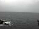 ./images/koeye/fitz-hugh/20151106/fitz-hugh20151106_122102.jpg