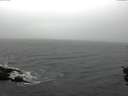 ./images/koeye/fitz-hugh/20151106/fitz-hugh20151106_122401.jpg