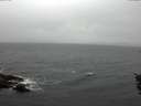 ./images/koeye/fitz-hugh/20151106/fitz-hugh20151106_122701.jpg