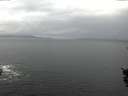 ./images/koeye/fitz-hugh/20151107/fitz-hugh20151107_100002.jpg